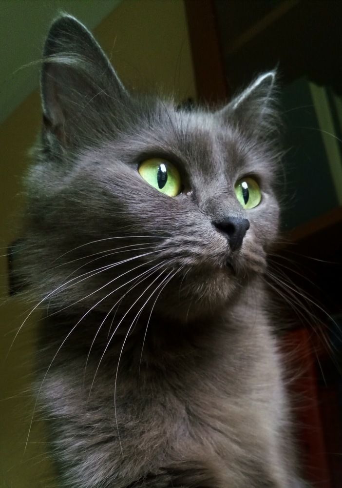 Photograph by Ольга Хромова