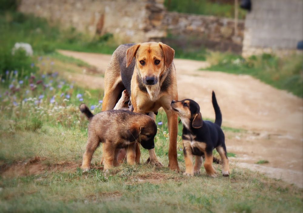 Photograph by Anna Perevozchikova