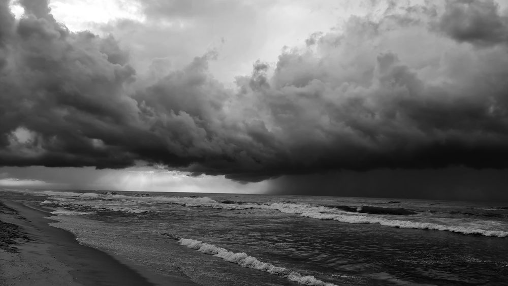 Black and white landscape