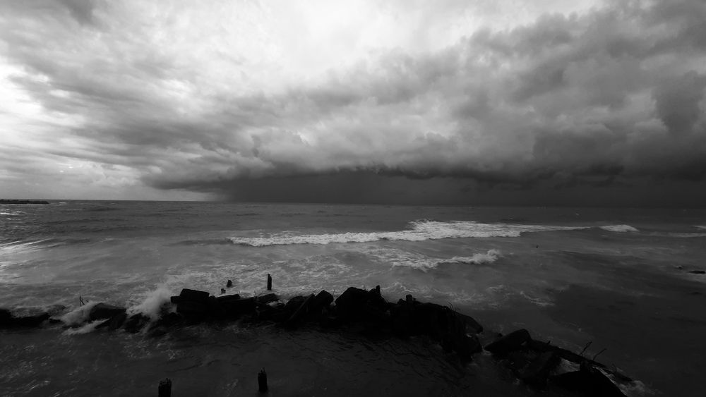 Black and white landscape