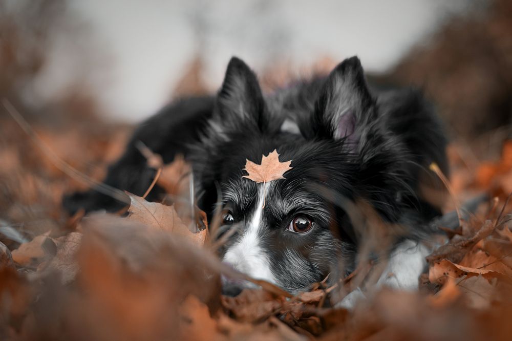 Photograph by Alicia Mate