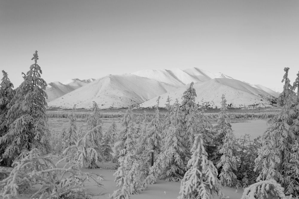 Декабрьский пейзаж.
