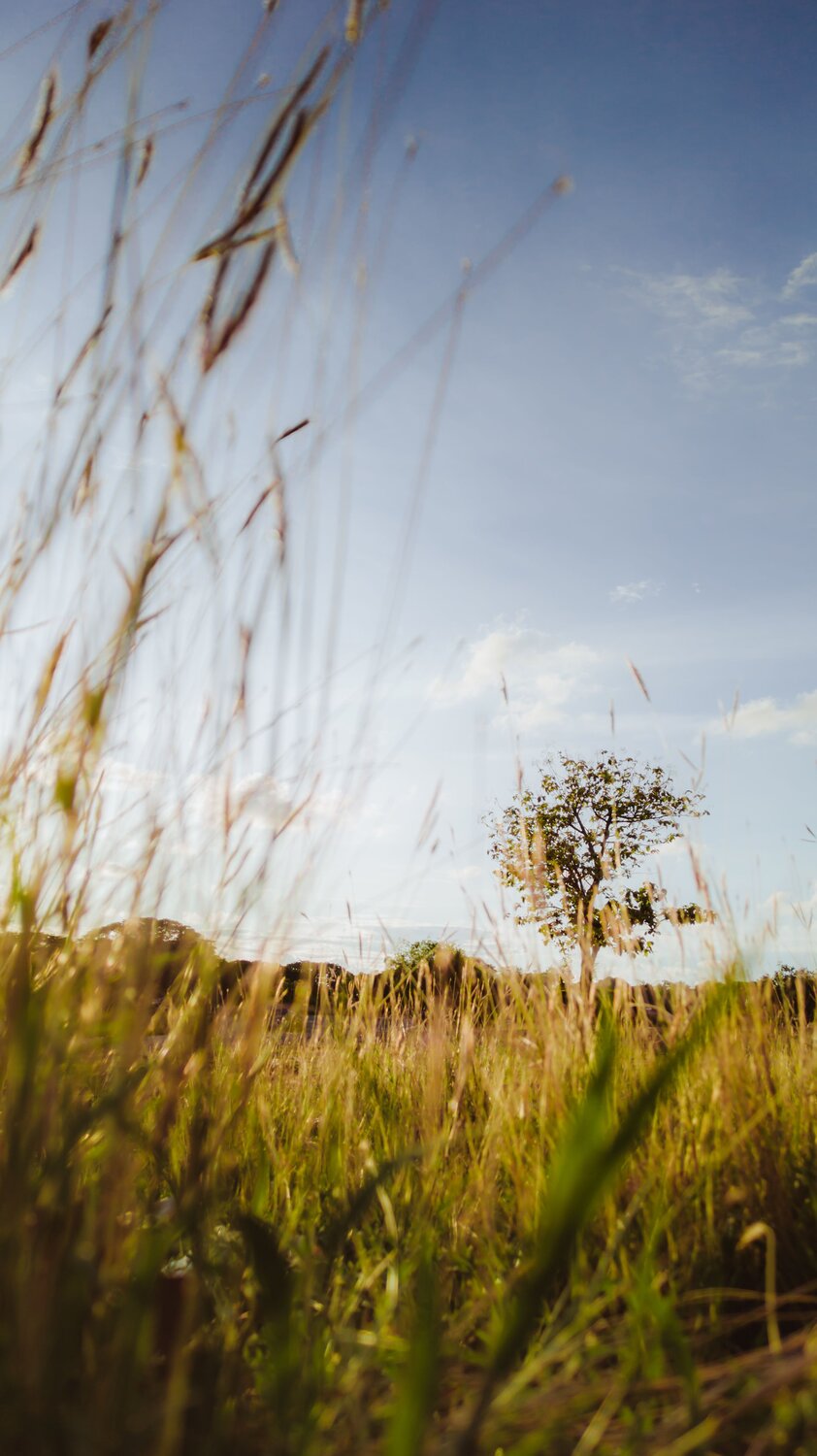 Photo #7592356