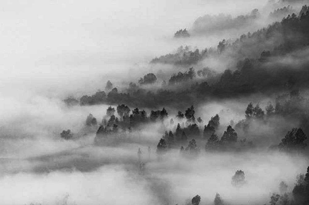 Photograph by Ages ragil