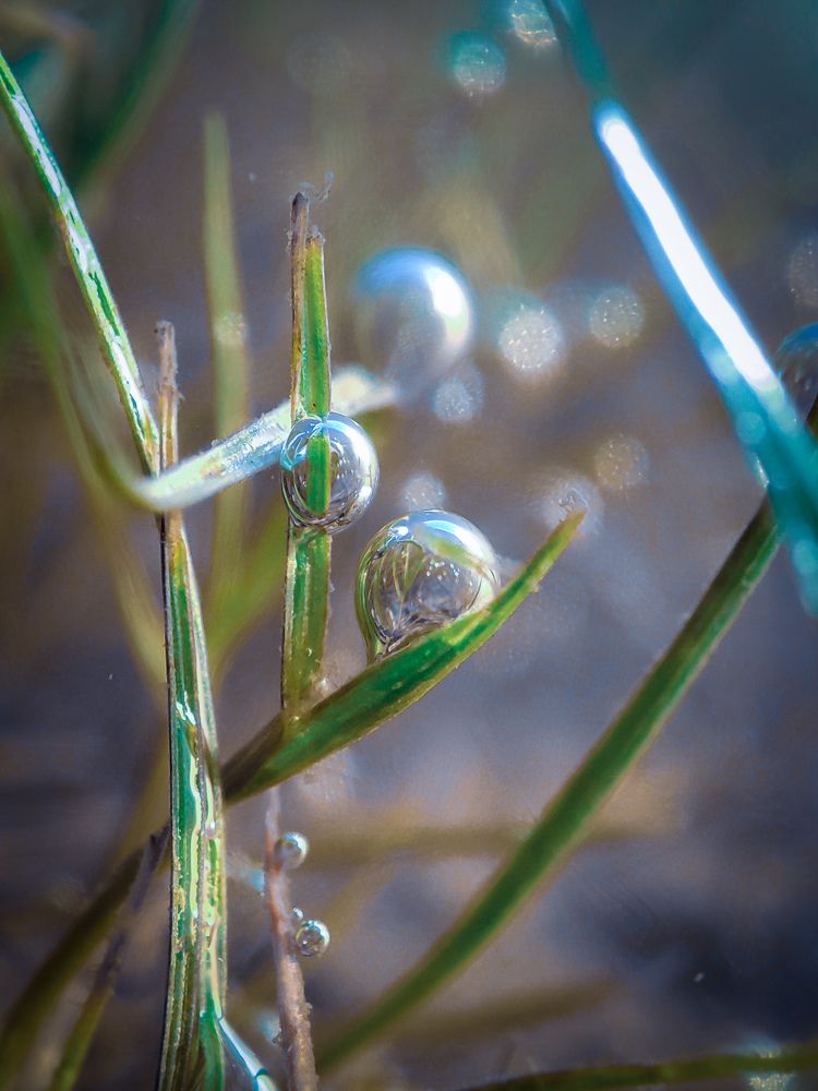Под водой. Under the water