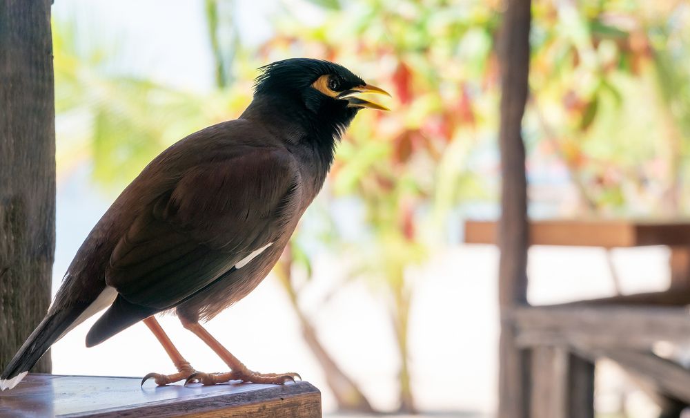 Photograph by Evgeniia Iakimenko