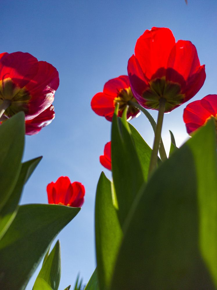 Photograph by Мария