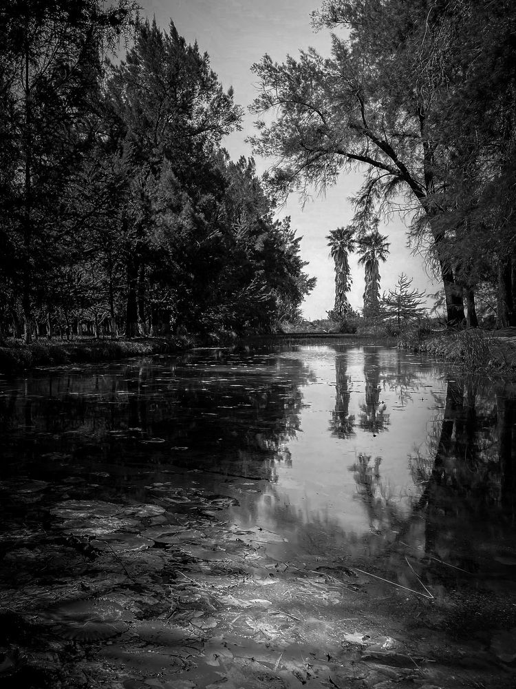 Photograph by Oxana Telupilova