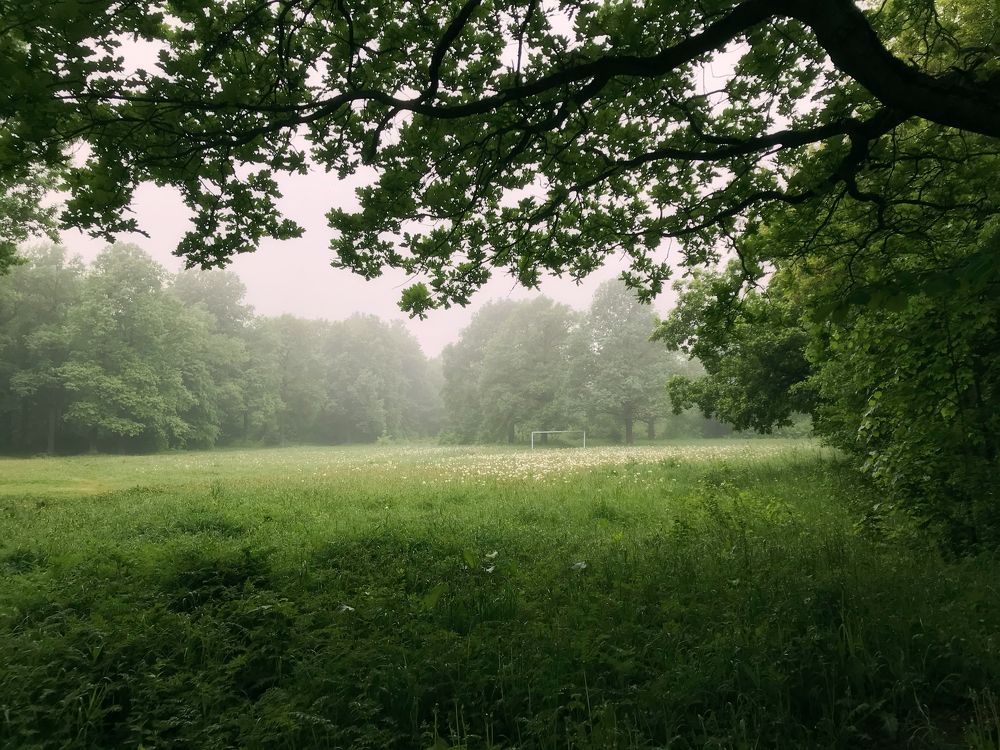 Фотография автора Мартыненко Дмитрий