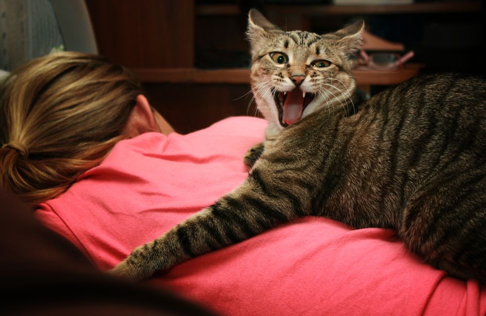 Photograph by Татьяна Лисянская