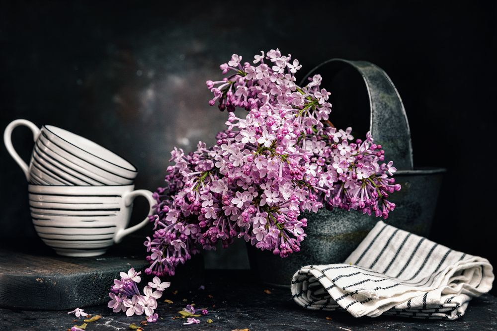 Фотография автора Дмитрий Герц