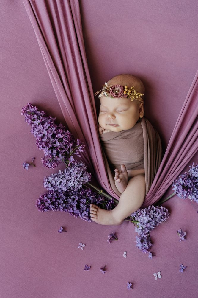 Фотография автора Светлана Сергеевна Абрамян