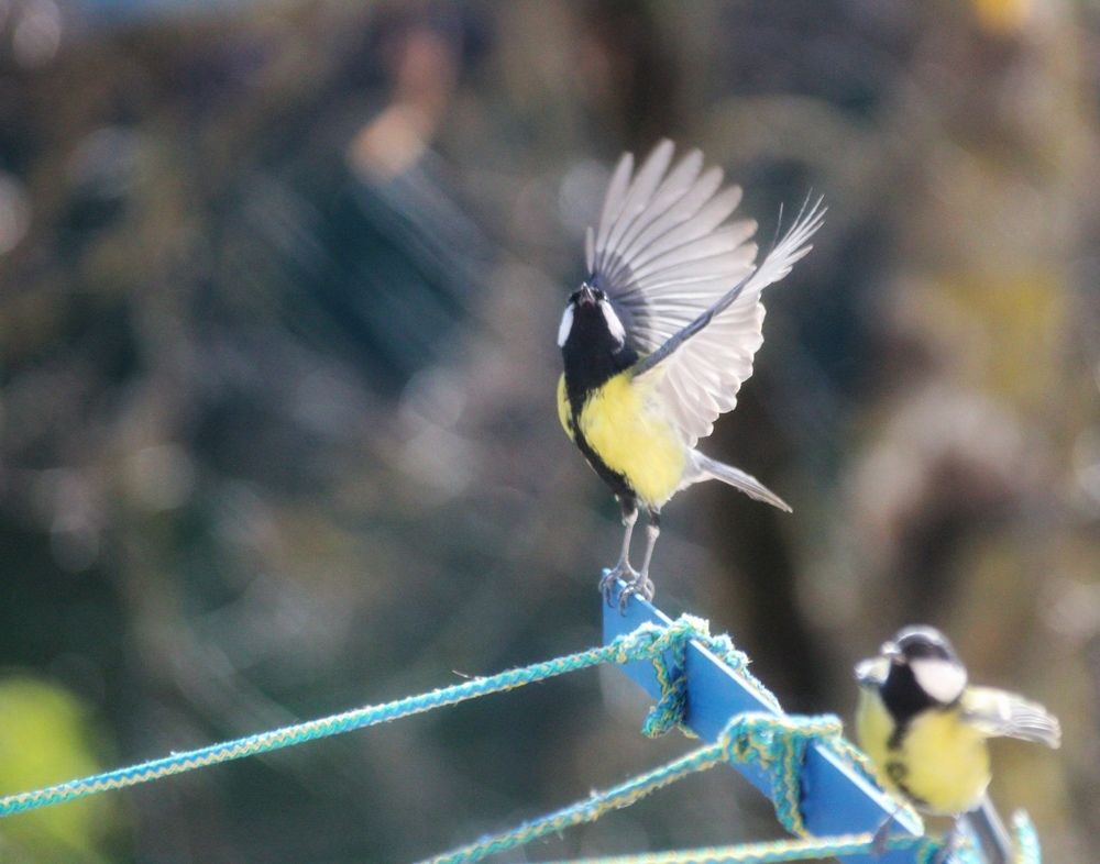 Photograph by Сергей Золотоверхий