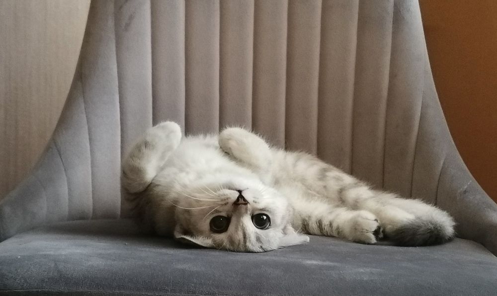 Photograph by Екатерина