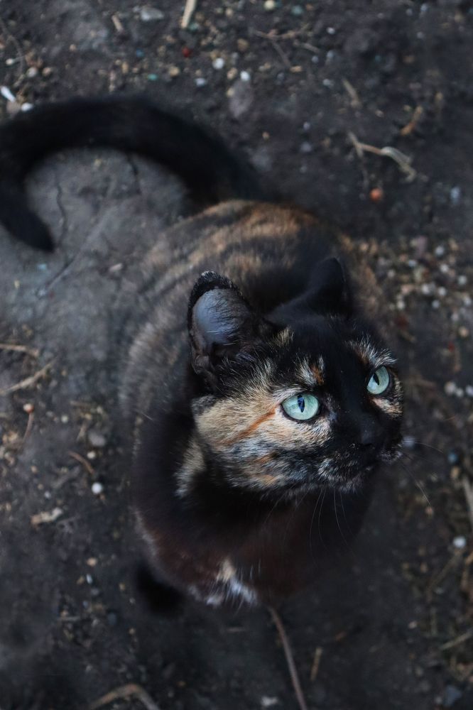 Photograph by Анна Горбунова