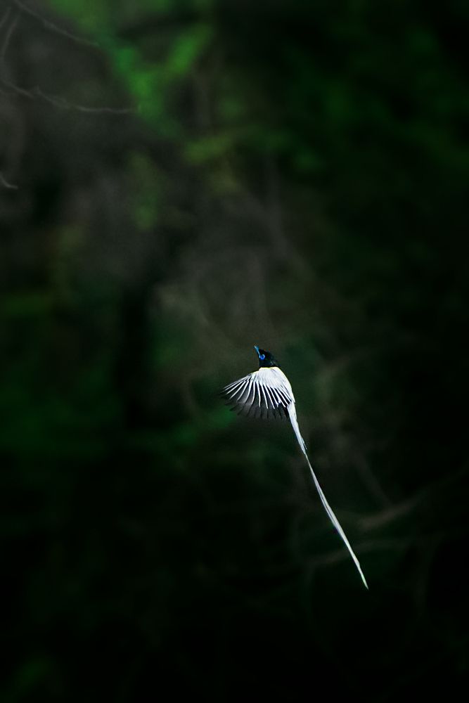 Photograph by Rahul Kahar