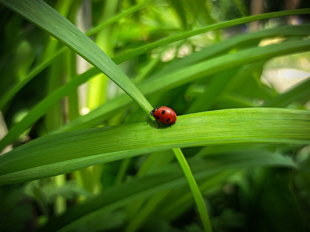 Photograph by Николай Авраменко