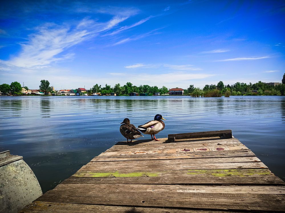 Photograph by Николай Авраменко