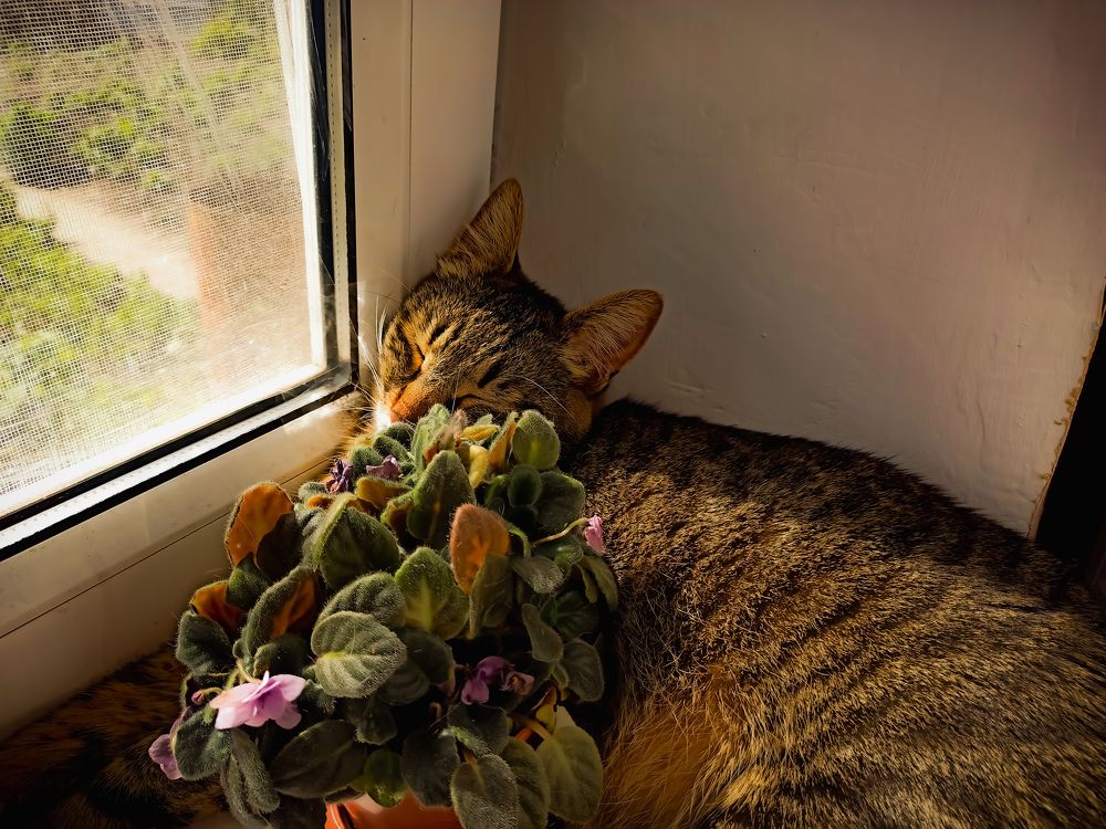 Photograph by Николай Авраменко