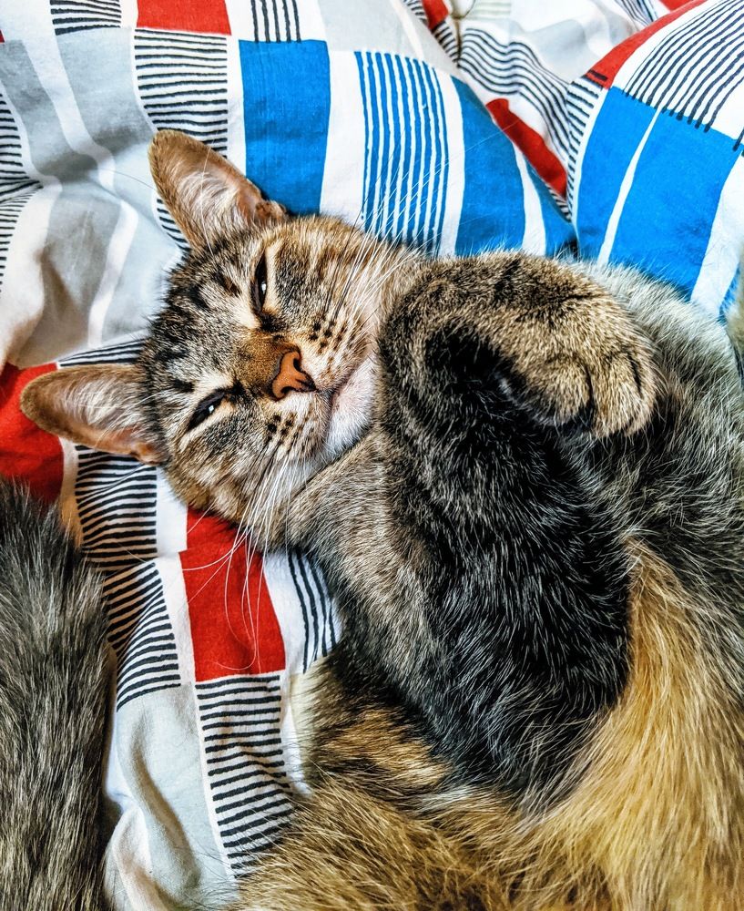 Photograph by Наталия Лахтина