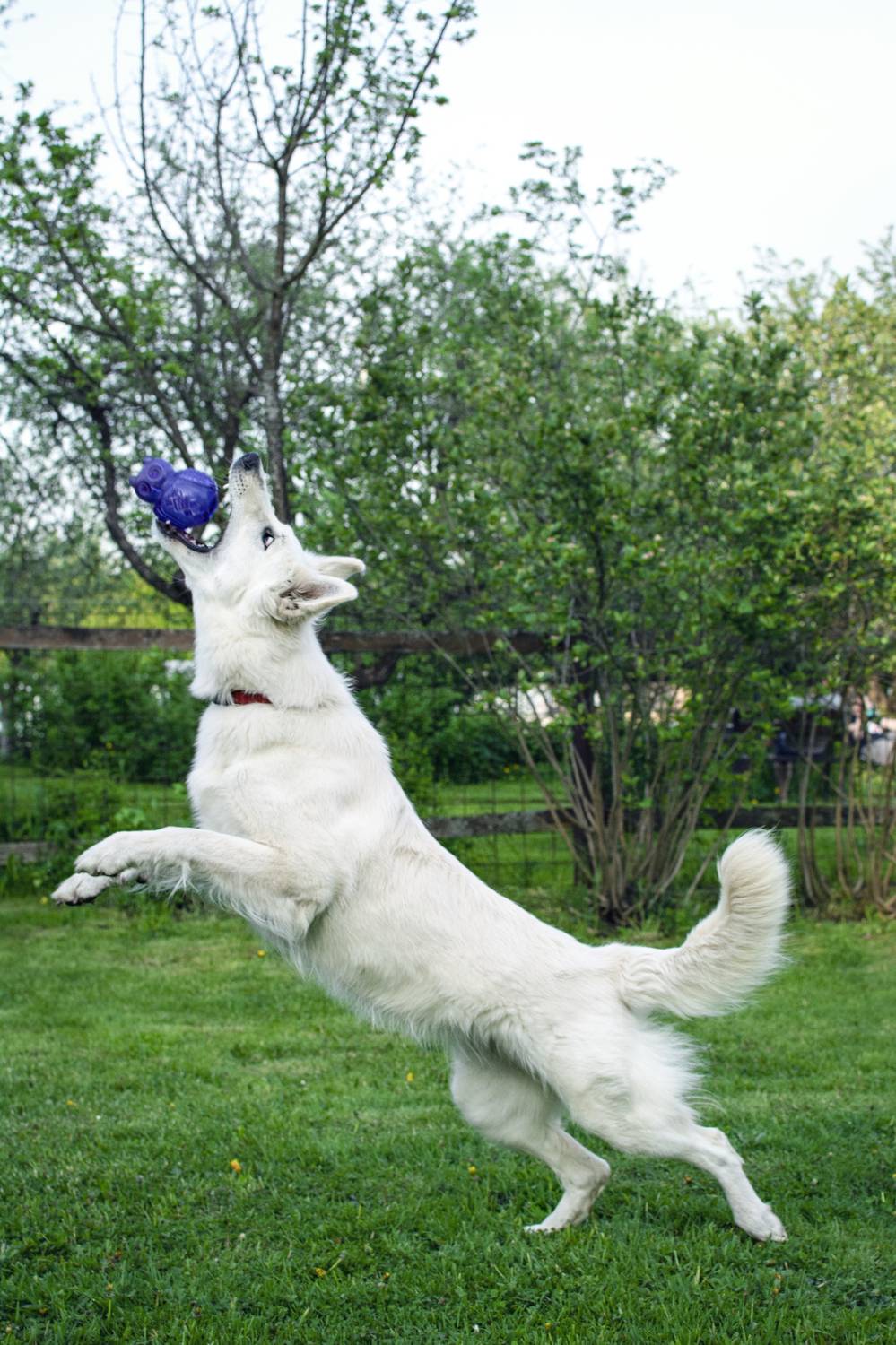 Photo #7592856