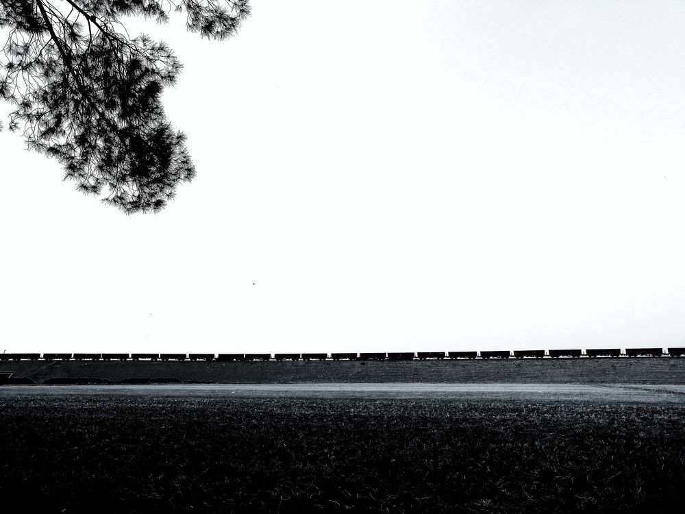 Photograph by Ali Nooralian