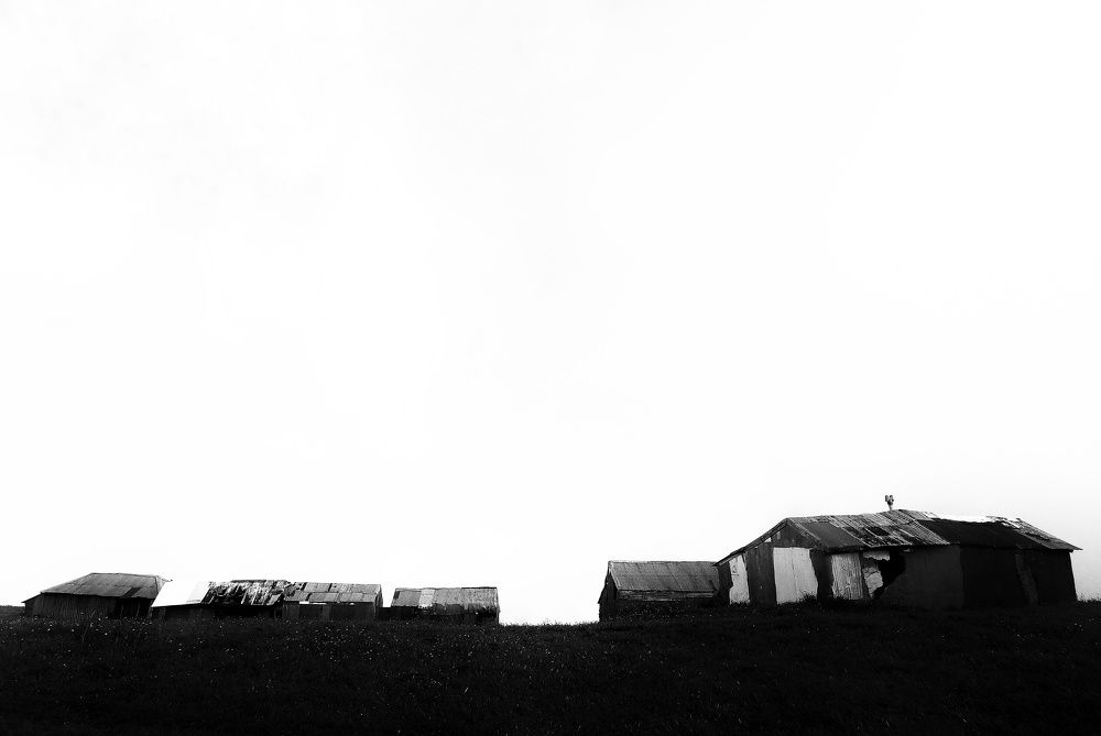 Photograph by Ali Nooralian