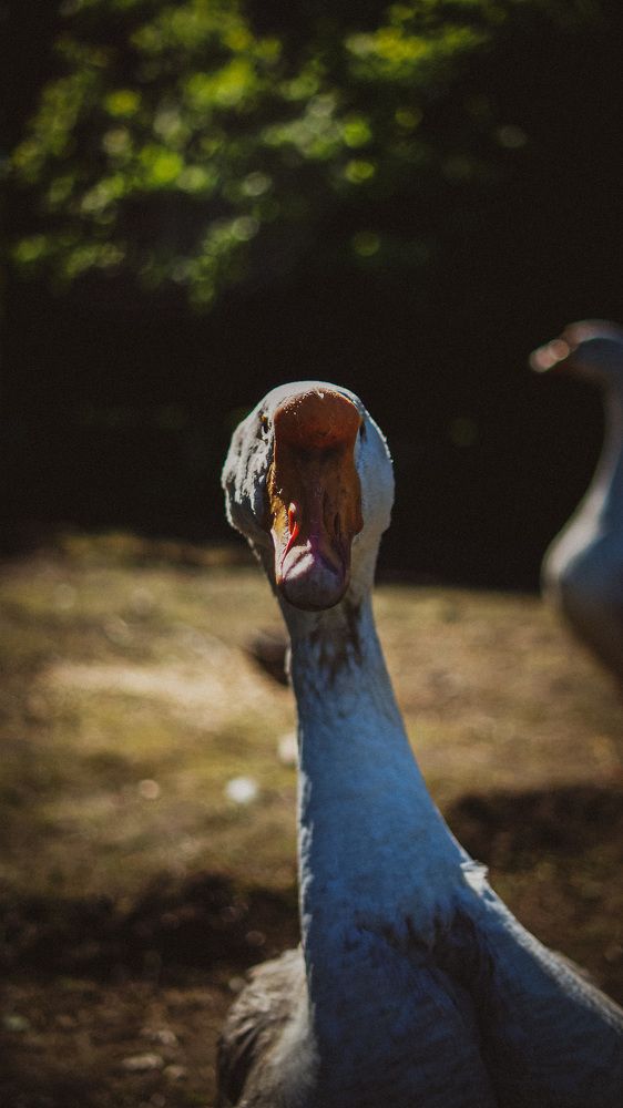 Photograph by Никита Ермаков