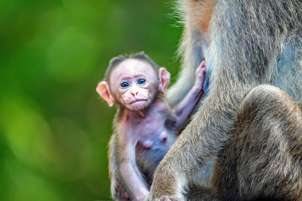 Photograph by Nishith Pursnani