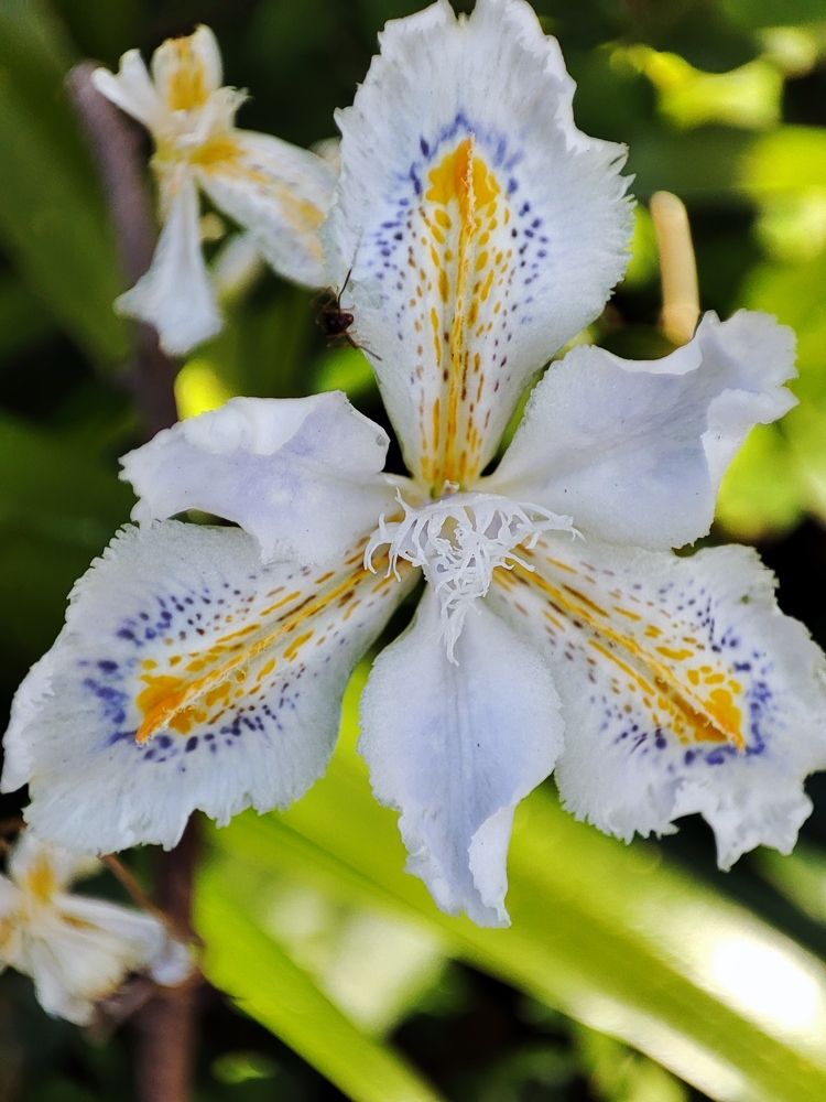 Photograph by Николай Ковальчук