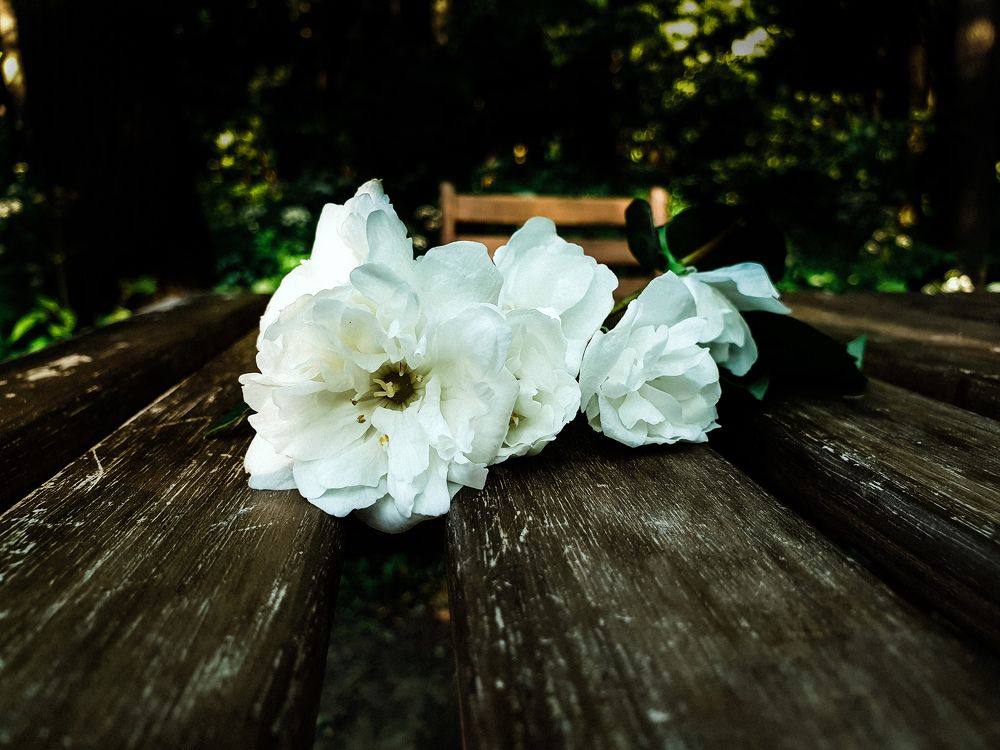 Photograph by Евгений Порсов