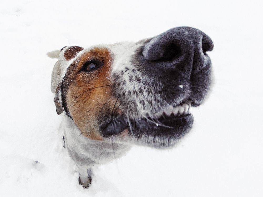 Фотография автора Алексей Шрайбик