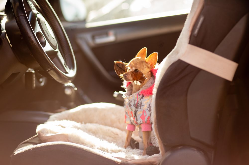 Photograph by Kseniya Shin