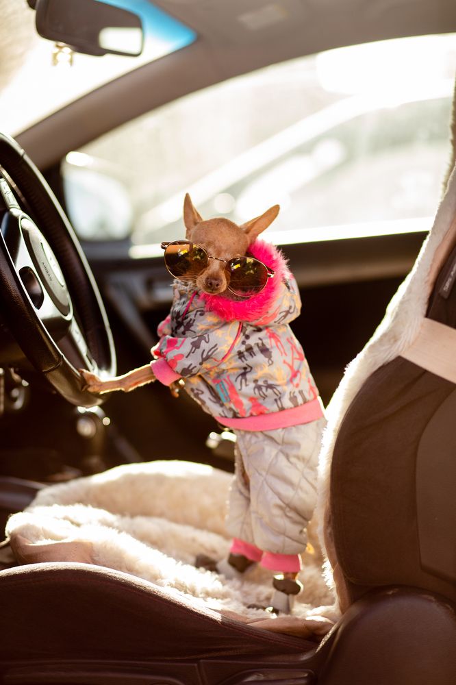 Photograph by Kseniya Shin