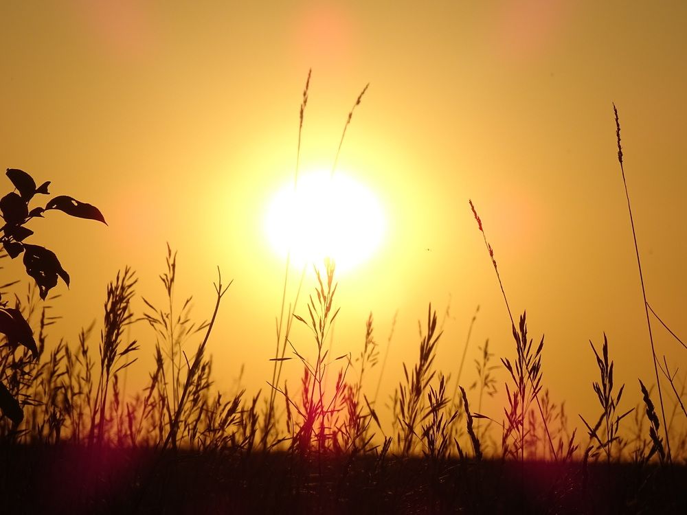 Photograph by Николай Худяков