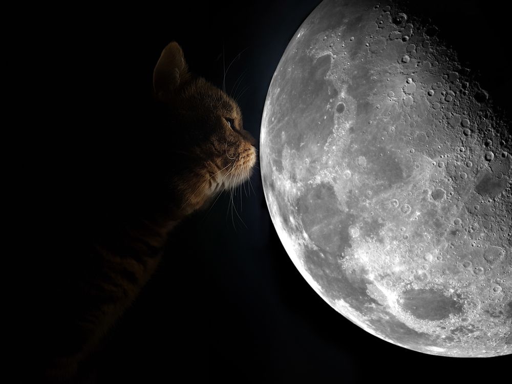 Фотография автора Алексей Шрайбик