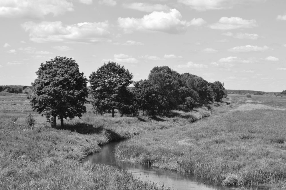 Photograph by Владимир Гвозд