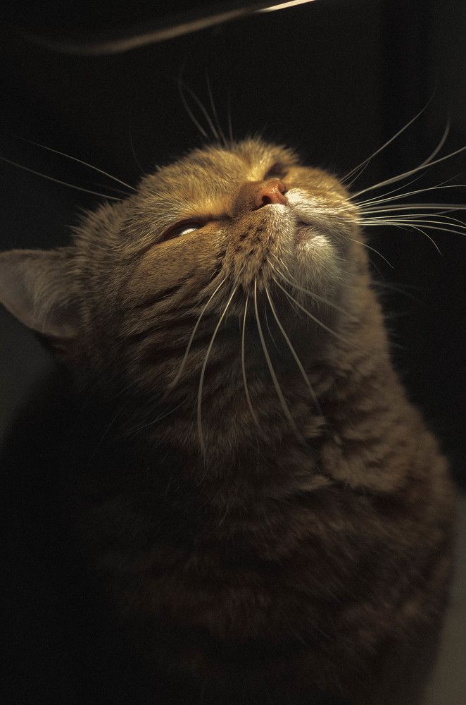 Photograph by Анна Торопова