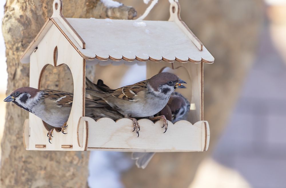 Photograph by Evgeniia Iakimenko