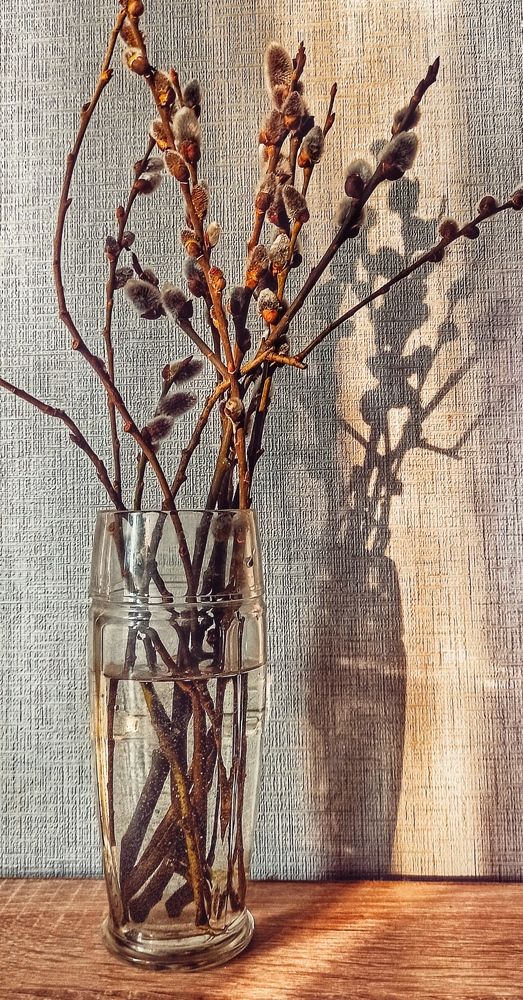 Фотография автора Татьяна Ротько