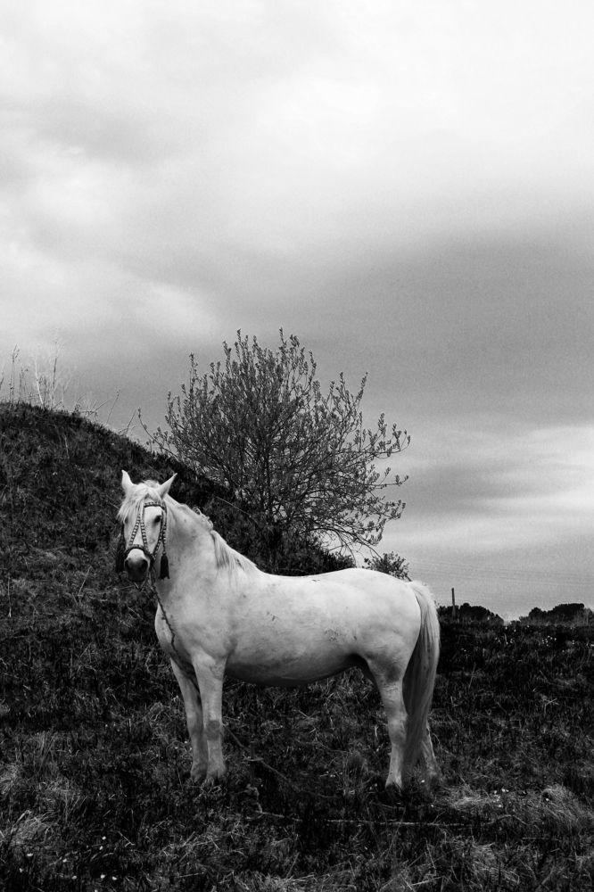 Photograph by Анна Горбунова