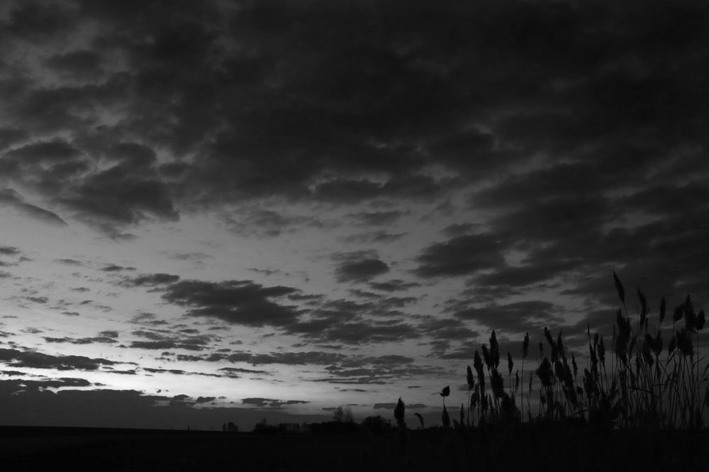 Photograph by Анна Горбунова