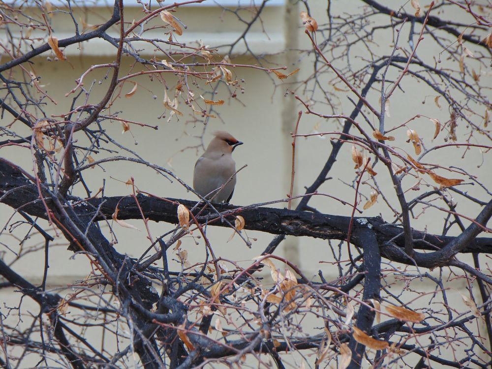 Photograph by Ekaterina Tabatchikova