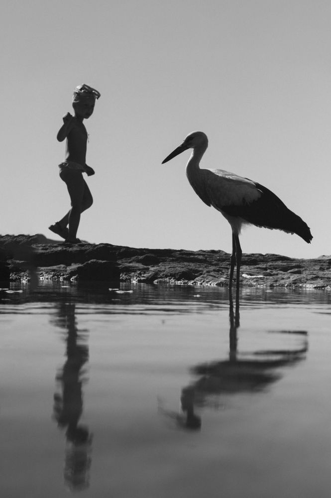 Фотография автора Алексей Шрайбик