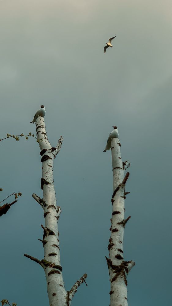 Photograph by Марина Егорова