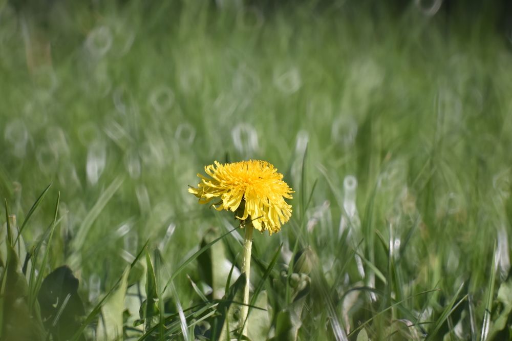 Фотография автора Tkachev Aleksey