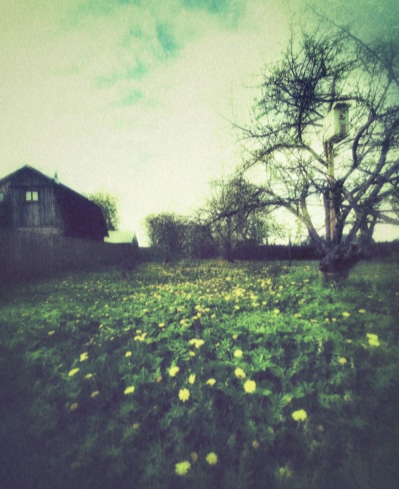 Photograph by Ольга Бородина