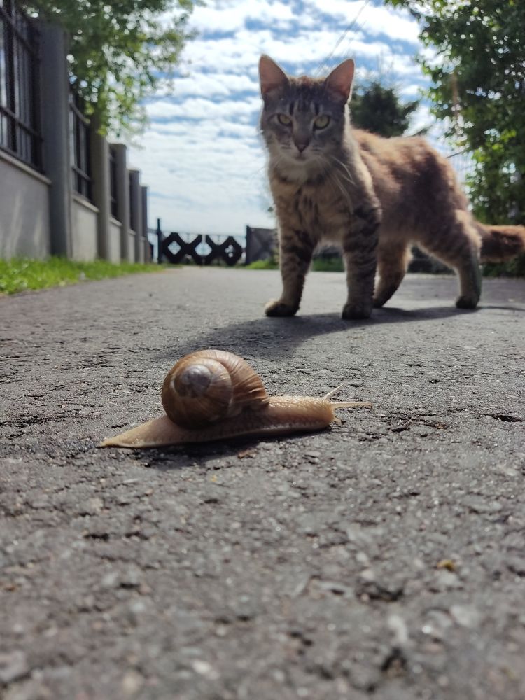 Photograph by Иван