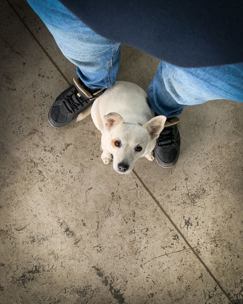 Photograph by Дмитрий Костяков