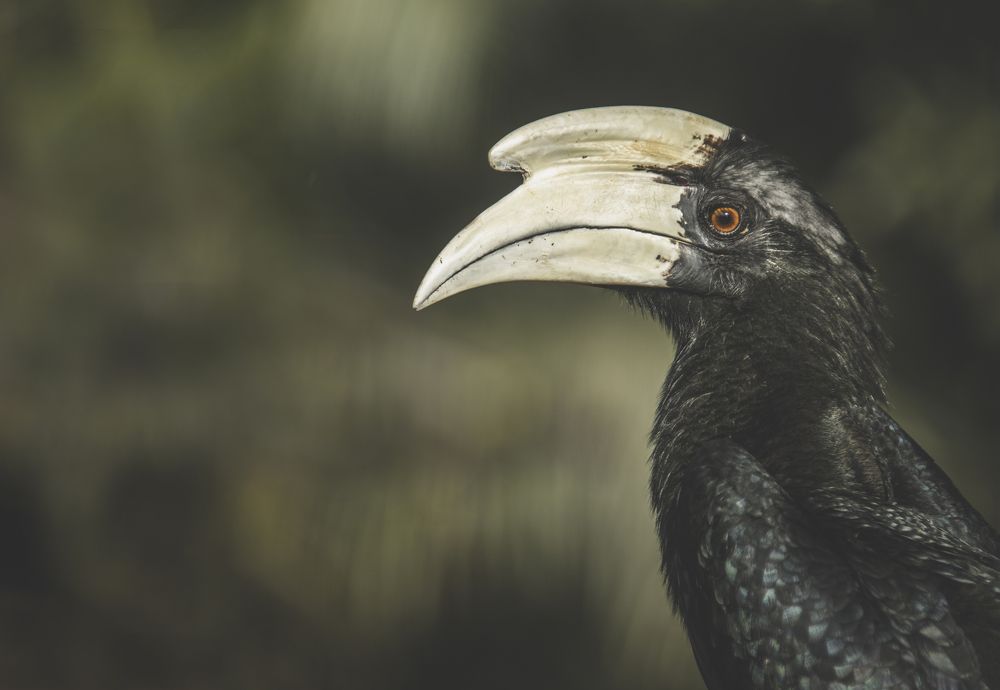 Фотография автора Anil Prabhakar